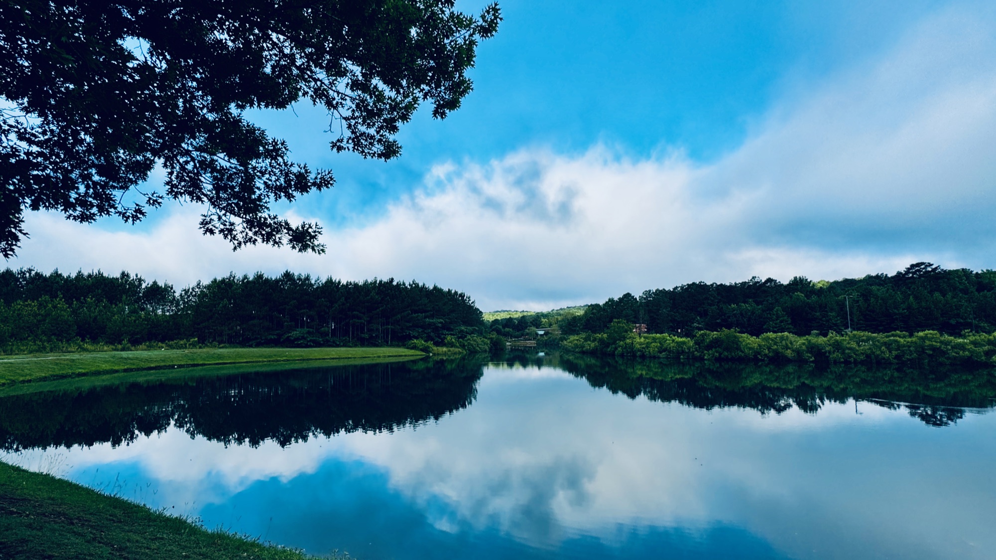 A calm, tree-ringed lake in Oxmoor Valley reflecting a blue, cloud-filled sky, framed by an overhanging branch.