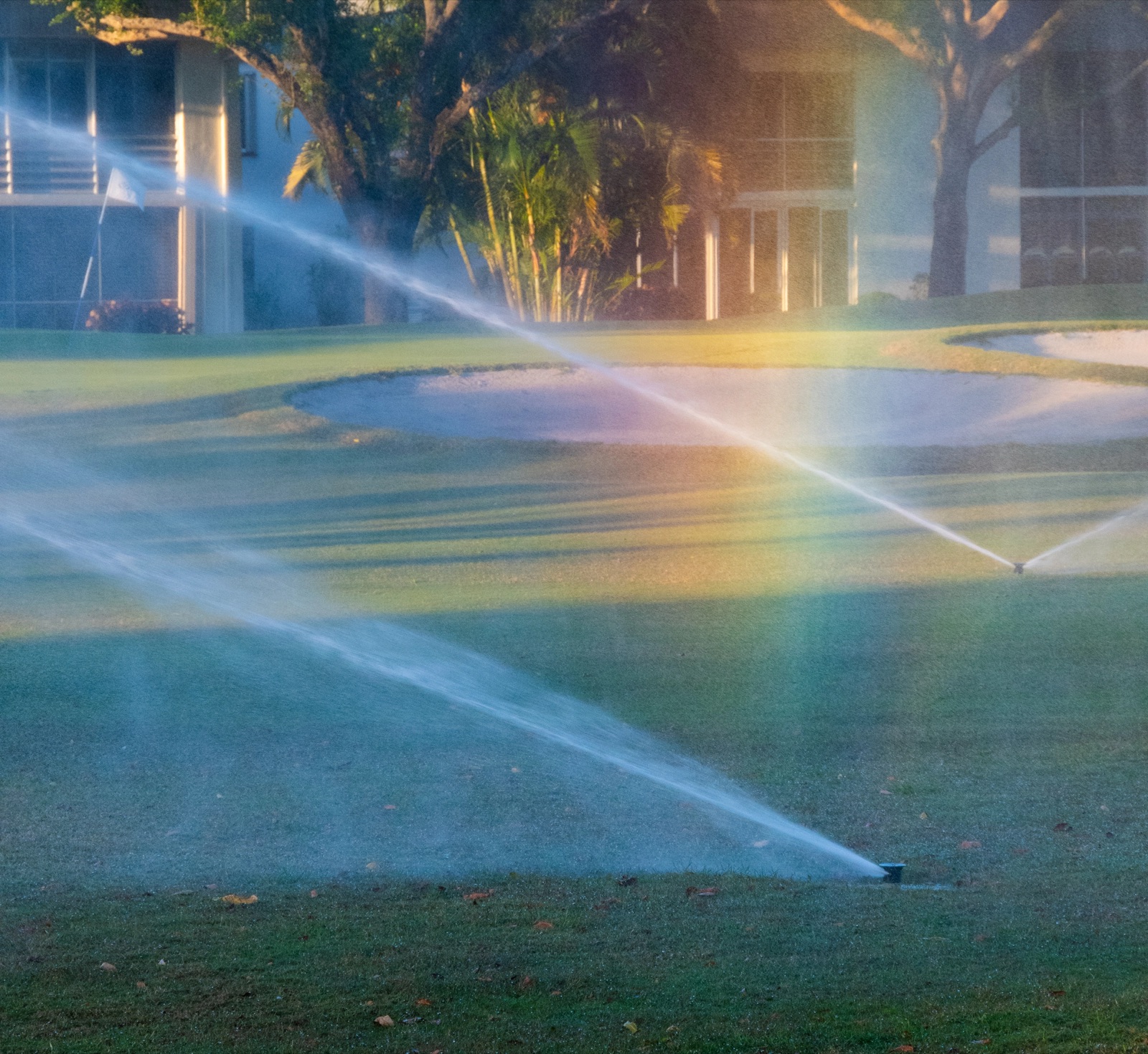 Golf-course sprinklers watering a fairway at sunrise, the spray forming a rainbow in the mist, with a sand bunker, flag, and buildings behind.